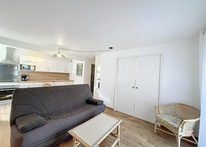 아파트 F2 Avec Terrasse, Proche Thermes Et Centre-ville - Animaux Bienvenus, Wifi Inclus - Fr-1-451-205 *