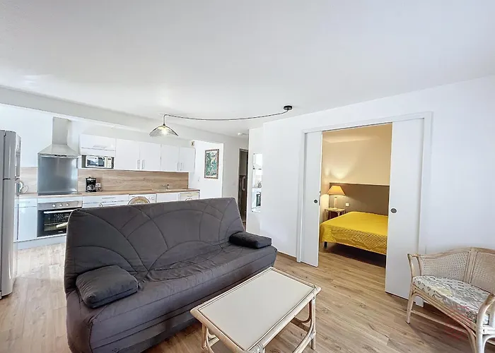아파트 F2 Avec Terrasse, Proche Thermes Et Centre-ville - Animaux Bienvenus, Wifi Inclus - Fr-1-451-205 *